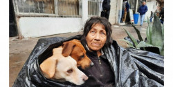Soledad se resguardaba del frío con sus seis perros callejeros en una bolsa negra
