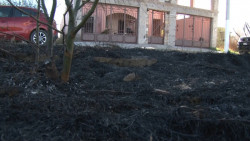 Limpian predio con fuego, reportan vecinos.