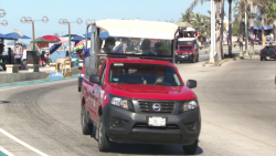 Aurigueros esperan repunte en servicios para Serie del Caribe