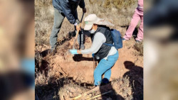 Positiva búsqueda de desaparecidos en Benito Juárez
