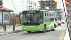 Pasa el examen, el camioncito verde en Mazatlán