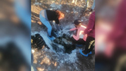 FGJES llama a familiares de desaparecidos a identificar prendas de mujeres localizadas