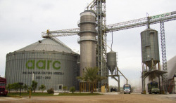 La AARC guardará producción de frijol