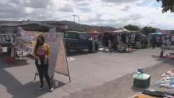 Reabren tianguis en la Laureles Pinos