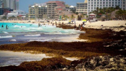 En  diciembre del 2020 ingresaron a México 4 millones 330 mil 606 visitantes