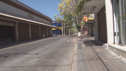 Empresarios sobreviven a la pandemia