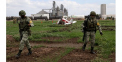 Muere el nieto del "Señor de los cielos" en accidente de avioneta en Navolato (video)