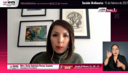 Partidos deberán replantear el quehacer político por pandemia: IEES