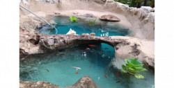 Mira el mini cenote que esta familia yucateca creó en el patio de su casa