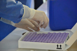 Captura de datos personales de adultos mayores en etapa de vacunación no son electorales