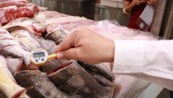 COEPRISS realiza operativo de vigilancia sanitaria en pescados y mariscos