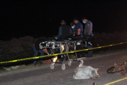 Atropellan a adulto mayor y muere