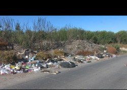 Denuncia vecinos de la Huertas Dos en Los Mochis basuron clandestino