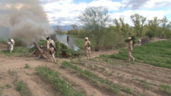 Destruye SEDENA sembradío de Marihuana en ALAMOS
