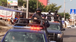 El informe mensual de seguridad muestra reducción en feminicidios y delitos del fuero común