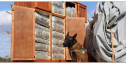 Detienen a elementos de la Guardia Nacional por  llevar dos roperos con 450 kg de marihuana