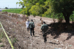 Fallecen padre e hija al ser atropellados