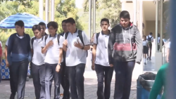 Sin contratiempos y de manera tranquila reporta la U.A.S.  proceso de  preinscripciones