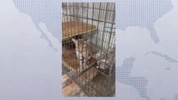 Llama la AZCARM a las autoridades ambientales proteger la vida animal