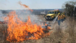 CONAFOR espera una temporada crítica en incendios forestales
