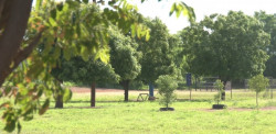 Continúan las acciones de la Fundación de Sanjai Rajaram