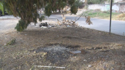 Queman hojas y arbustos secos y...crece riesgo de incendios