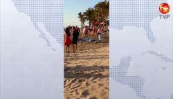 Aficionados de Chivas se agarran a  golpes en playa de Mazatlán