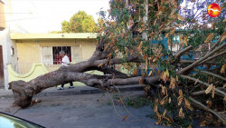 Arrecia el viento en Mazatlán