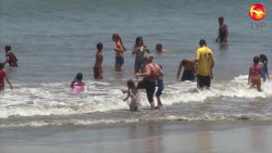 Si vas a la playa estos días... esto te interesa
