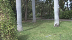 SEDESU y Jardín Botánico invitan a reciclar