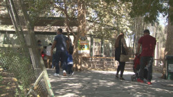 Día de asueto las familias salen al zoológico de Culiacán