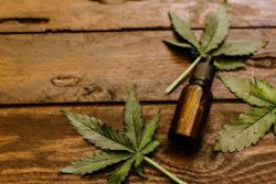Los índices delictivos no bajaran con la aprobación de la marihuana: PAN