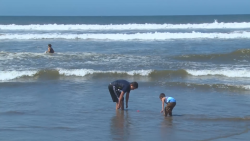 Intentarán convencer a municipios para que abran sus playas
