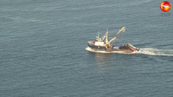 Dispuesto México a cumplir con T-MEC en pesca y acuacultura