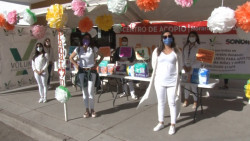 Buscan reunir mas de 10 mil pañales
