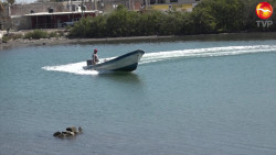 Dejan fuera del PET a pescadores libres en Mazatlán