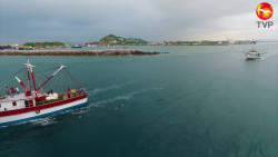 Enfrenta pesca trámites engorrosos para exportar a EU