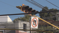 Semáforo "enloquece" en importante crucero