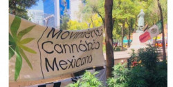 La ONU se expresa "preocupada" por los planes de legalización de la marihuana en México