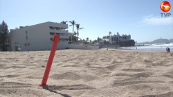 Es Playa Gaviotas, una Playa Limpia Sustentable