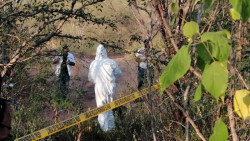 Encuentran osamenta en el Limón de Los Ramos al norte de Culiacán