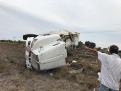 Vuelca "trailer" sobre la Maxipista Culiacán-Mazatlán
