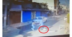 Cámaras captan cuando un perrito frustra el asalto a dueña (video)