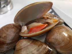 Declara COEPRISS veda sanitaria temporal por marea roja de moluscos