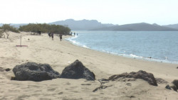 Llama Sedesu a no dejar basura en las playas sinaloenses