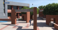 Estudiar una carrera universitaria es una excelente opción, aun en pandemia: IMCO