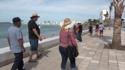 Se dan incumplimientos de contratos en rentas en Mazatlán