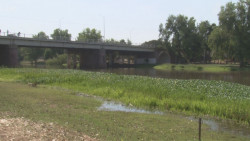 Pierde la vida al saltar desde el puente Hidalgo al río Tamazula