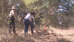 Sinaloa entre los estados con mayor número de fosas clandestinas