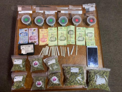 FGR asegura droga, armas y hasta un tigre de bengala en cateos